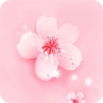 青青草app免费下载