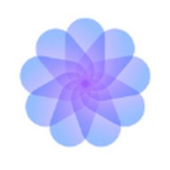 鲁鲁社播放器在线下载