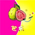 凤蝶直播535.tⅴ最新版