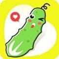 草莓秋葵菠萝蜜黄瓜丝瓜榴莲ios版