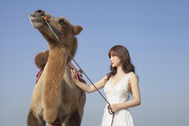 技术创新与药效提升