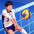 单挑排球(Volleyball Duel)安卓版下载