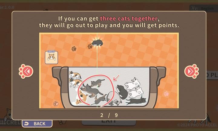 猫咪三重奏1