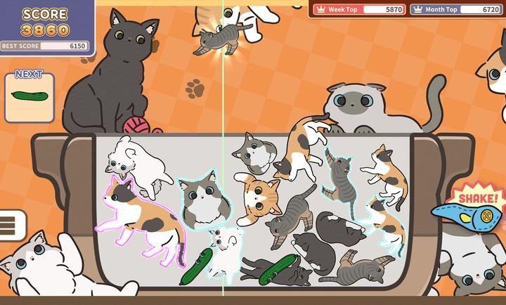 猫咪三重奏2