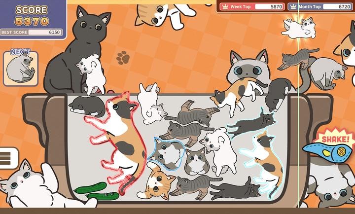 猫咪三重奏4